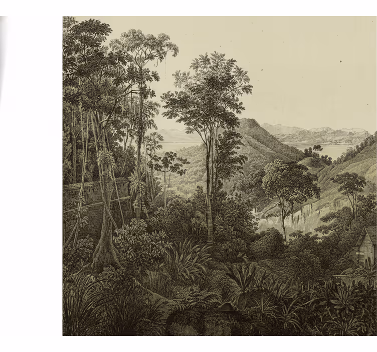 Tapisserie forêt impression colline - TenStickers