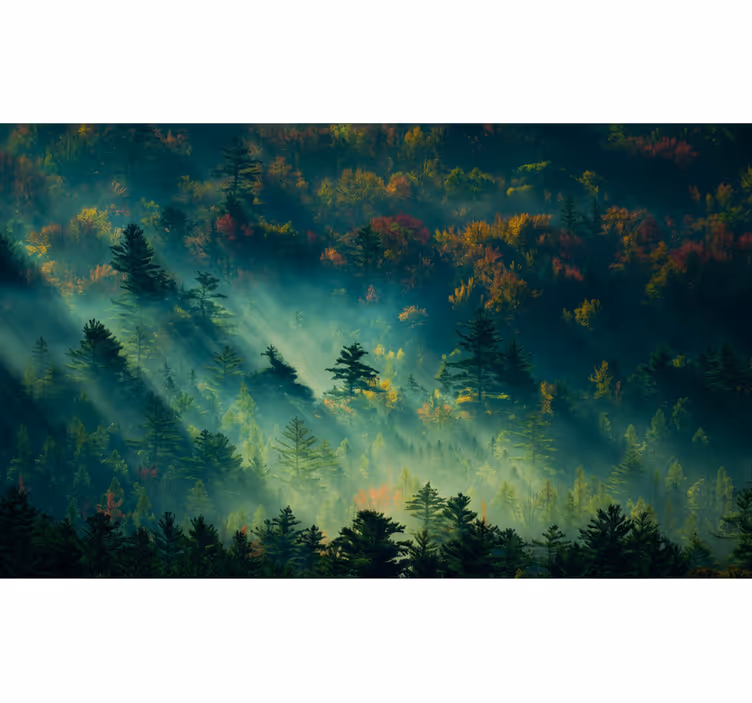 Tapisserie forêt la forêt Énigmatique - TenStickers