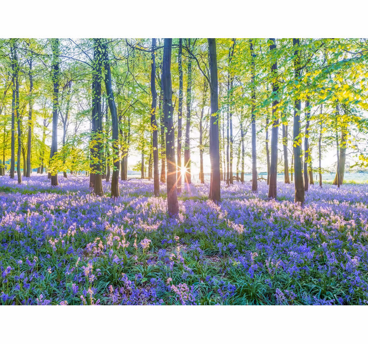 Tapisserie forêt modernisme inspiré de la nature - TenStickers