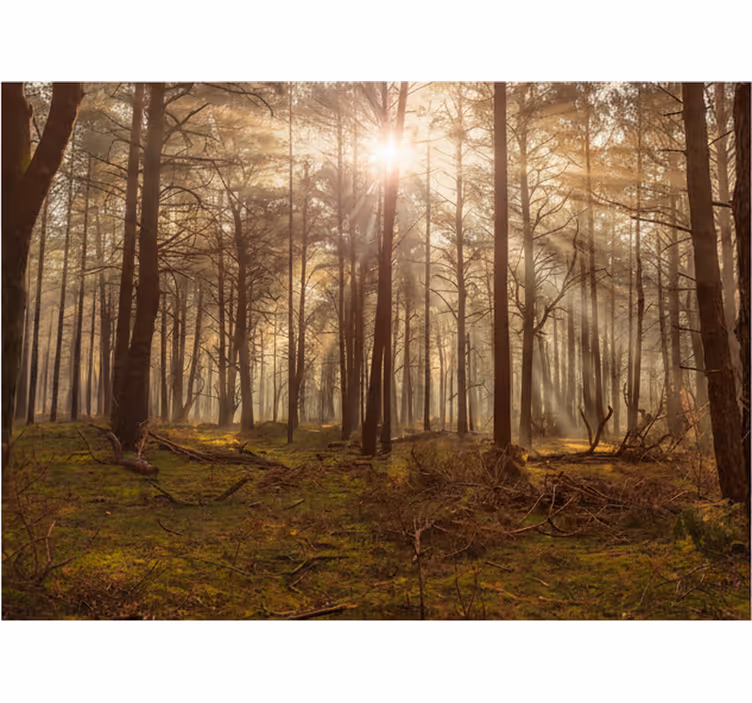 Tapisserie forêt faune dorée dans un salon - TenStickers