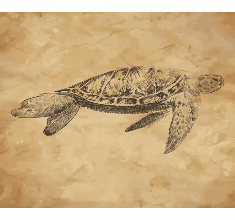 Tapisserie beige illustration de tortue - TenStickers