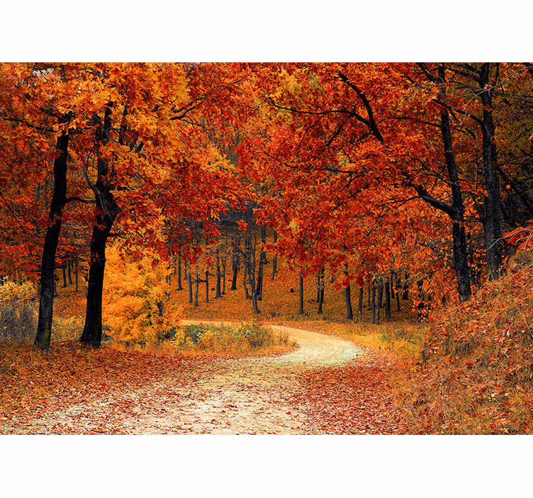 Tapisserie orange arbres d'automne - TenStickers
