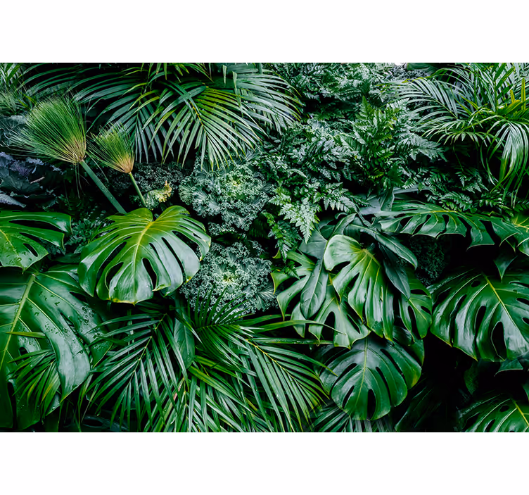 Papier peint mural plantes jungle - TenStickers