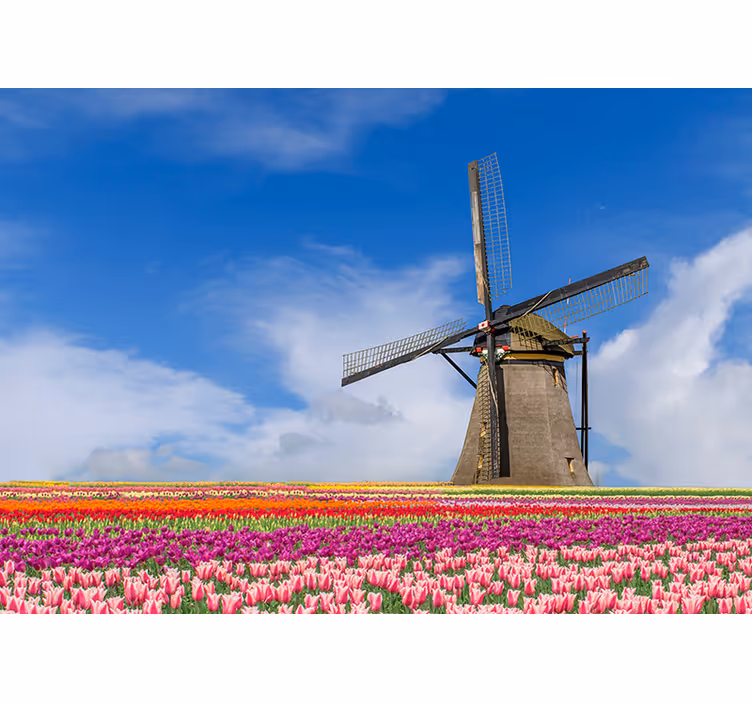 Papier peint champ de tulipes et moulin à vent - TenStickers
