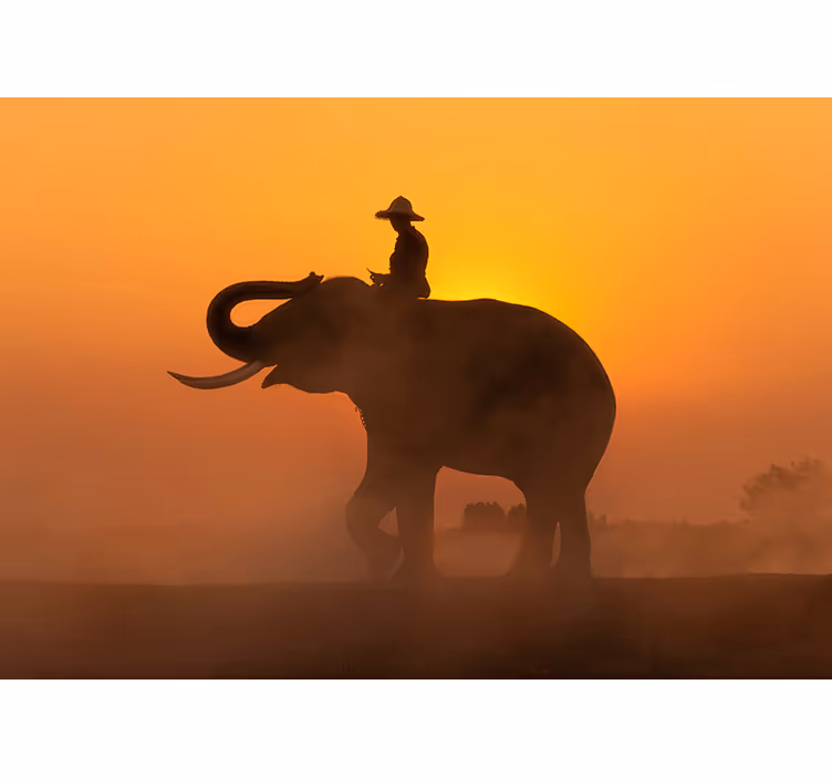 Tapisserie animaux silhouette d'éléphant - TenStickers