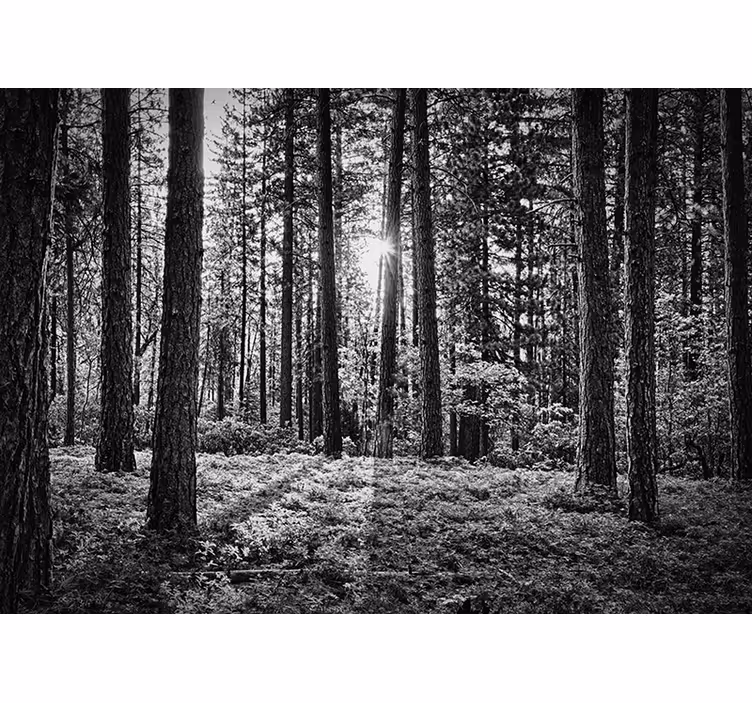 Tapisserie arbre forêt monochrome - TenStickers