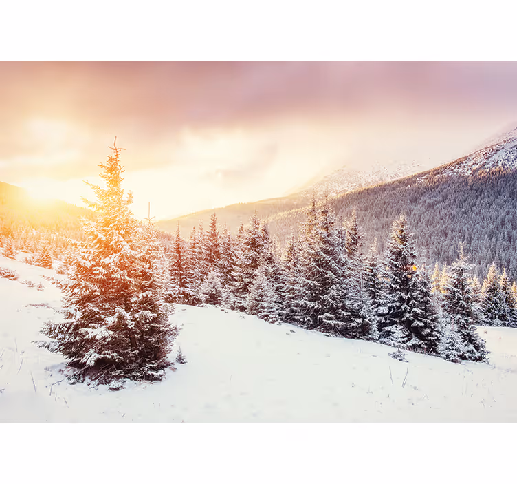 Tapisserie forêt paysage de pins glacés - TenStickers
