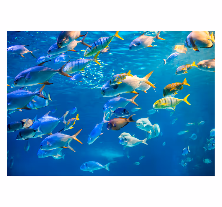 Tapisserie animaux École de poissons sous-marins - TenStickers