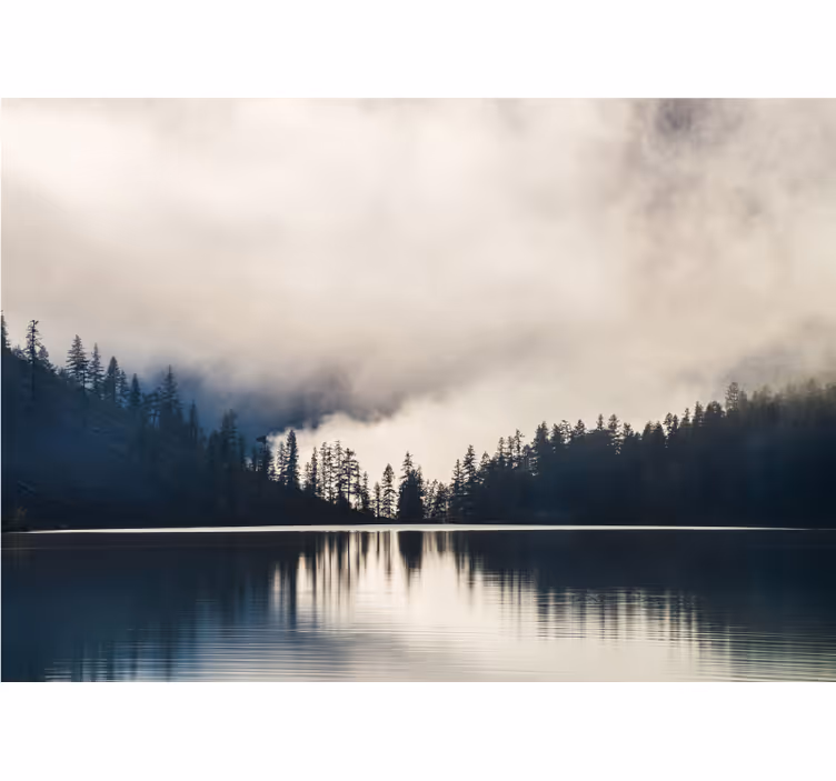 Tapisserie paysage reflet brumeux des bois - TenStickers