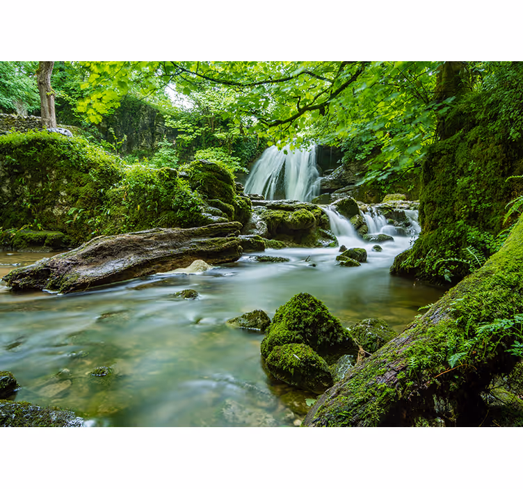 Papier peint 3D Forêt avec cascade et rivière - TenStickers