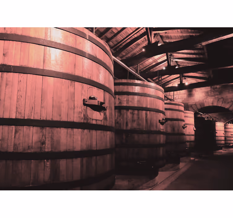 Papier peint vintage Grands vieux tonneaux de vin - TenStickers