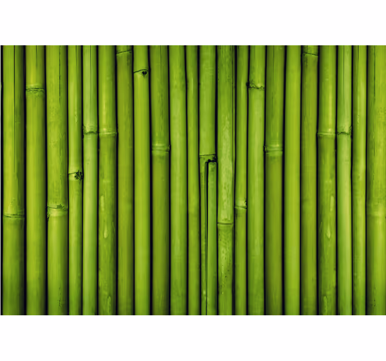 Tapisserie bambou tiges de bambou vertes - TenStickers