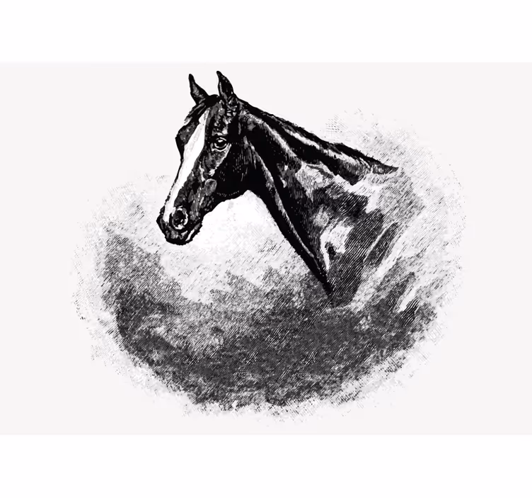 Papier peint mural d'animaux Chevaux en graphite - TenStickers