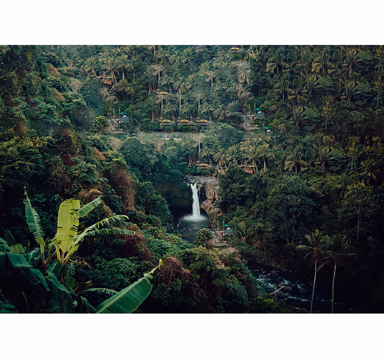 Tapisserie nature cascade de jungle luxuriante - TenStickers