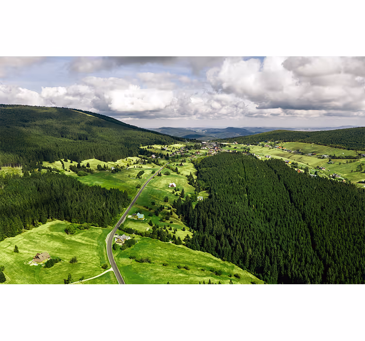 Tapisserie paysage collines vertes luxuriantes - TenStickers