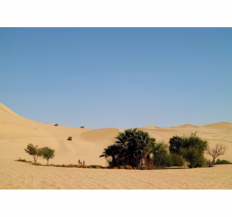 Tapisserie désert oasis de dunes de sable - TenStickers