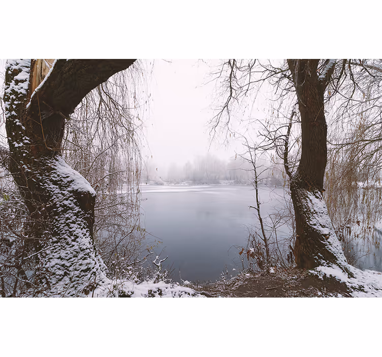 Tapisserie montagne vue sur le lac gelé - TenStickers