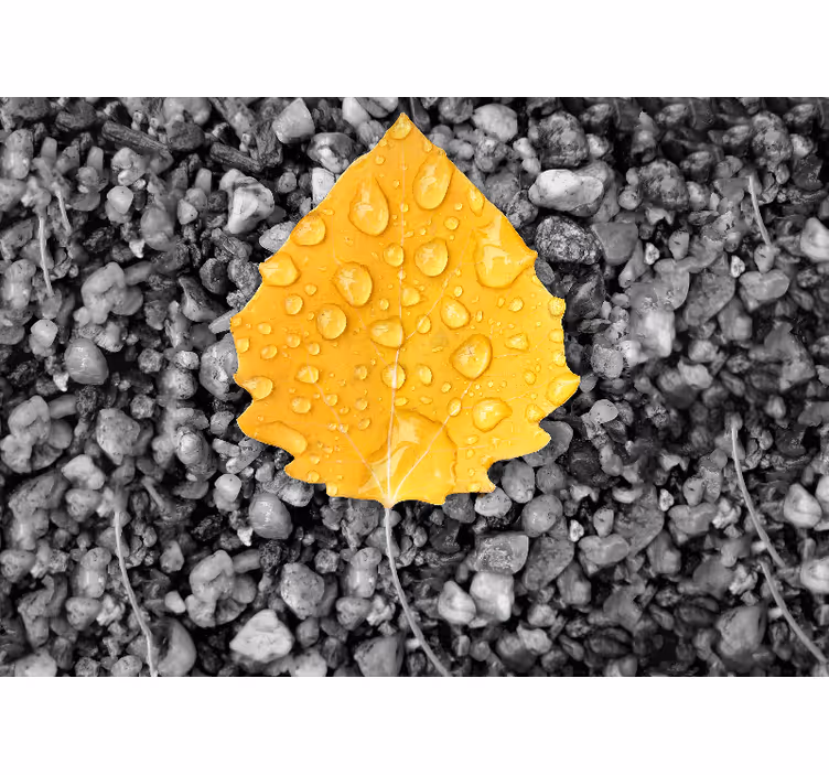 Tapisserie nature détail de la feuille jaune - TenStickers