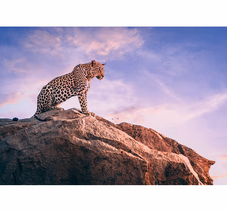 Tapisserie animaux léopard sur rocher - TenStickers