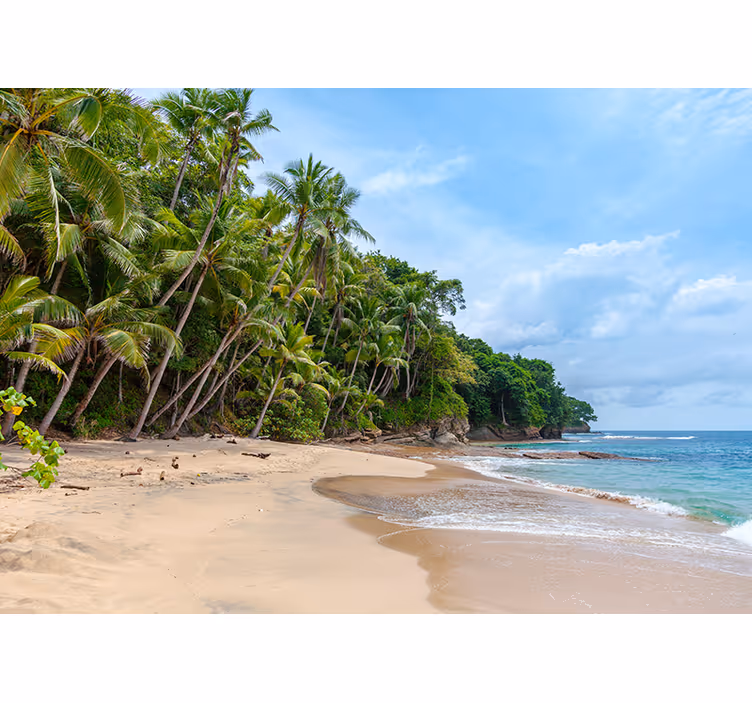 Tapisserie nature oasis de plage tropicale - TenStickers