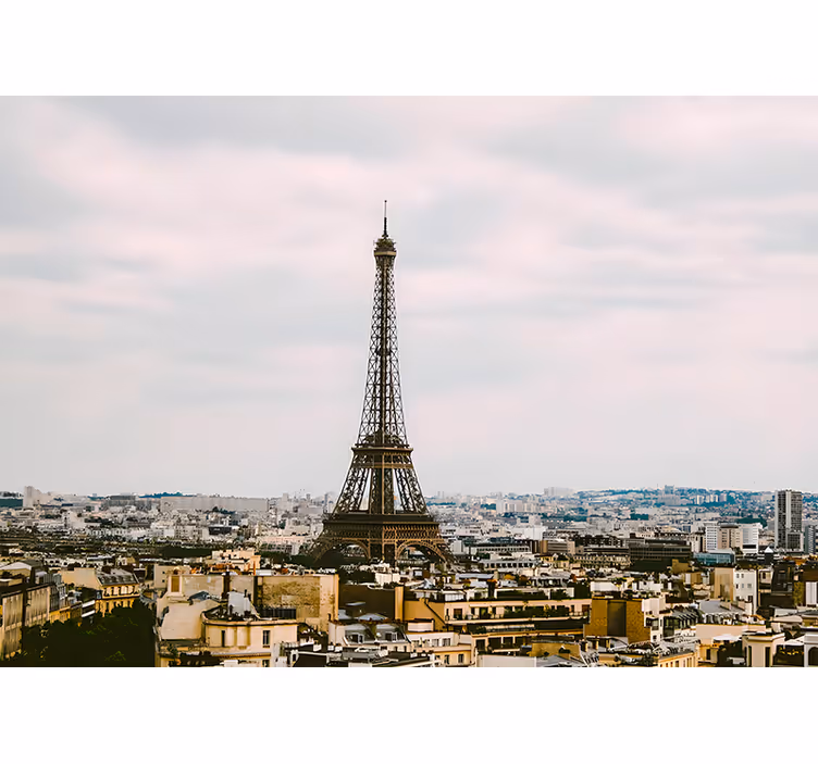 Tapisserie paris vue panoramique de la tour eiffel - TenStickers
