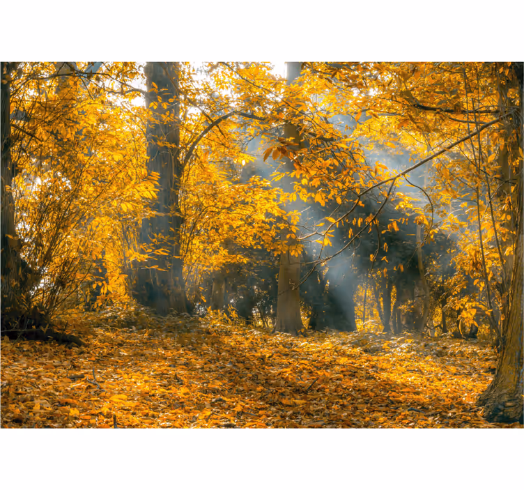 Papier peint nature Automne doré - TenStickers