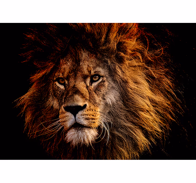 Tapisserie lion présence lion majestueuse - TenStickers