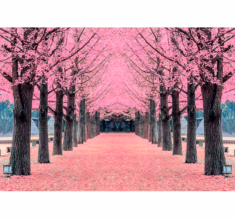 Papier peint mural de fleurs Arbres roses île de nami - TenStickers