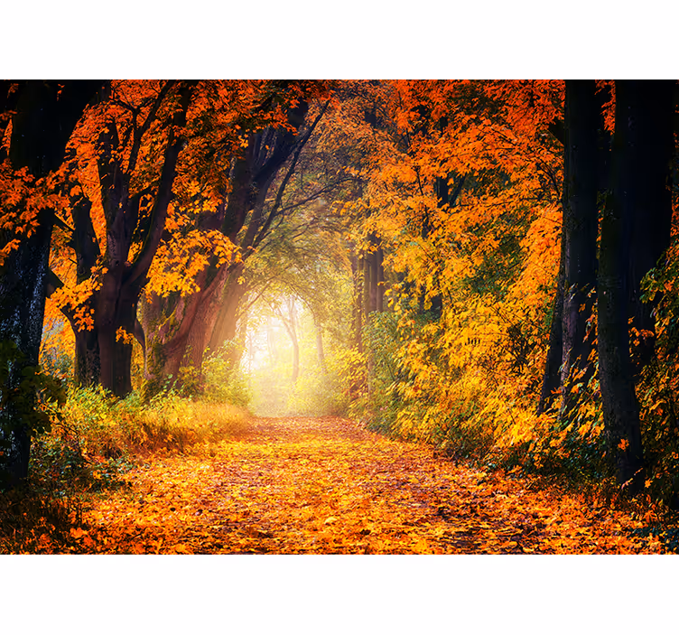 Tapisserie forêt chemin automnal - TenStickers