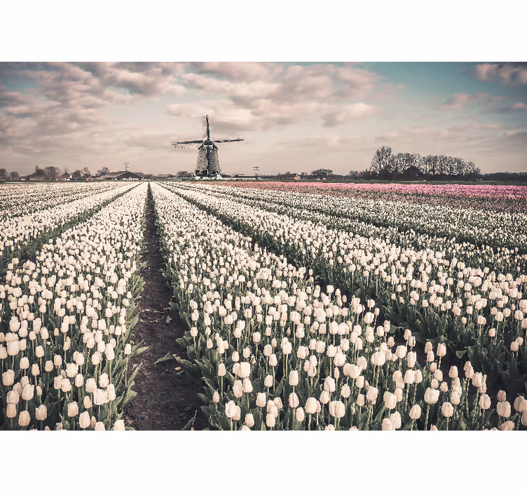 Papier peint tulipes Champ avec moulin à vent - TenStickers