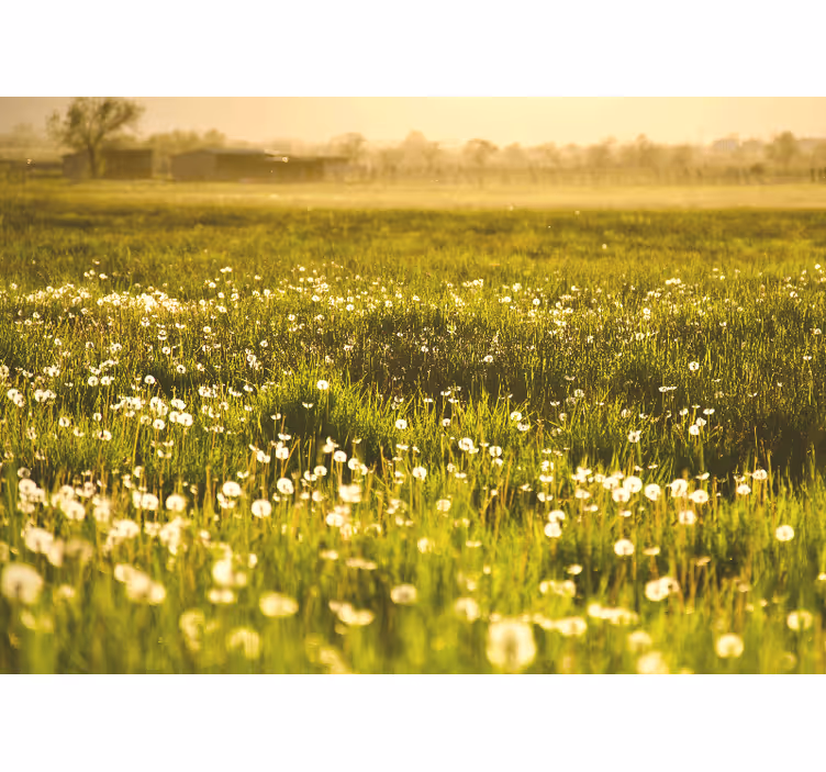 Tapisserie fleur scène de prairie de pissenlit - TenStickers