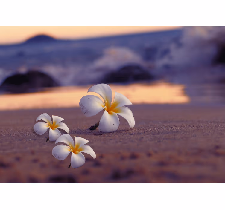 Tapisserie coquelicots trio de fleurs tropicales - TenStickers