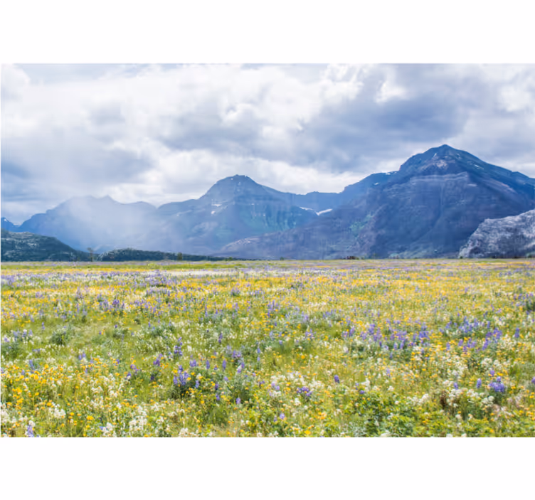 Tapisserie paysage champ de fleurs de montagne - TenStickers