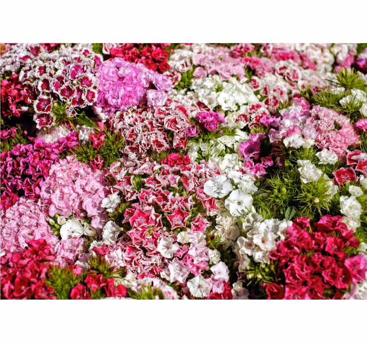 Tapisserie fleur jardin floral vibrant - TenStickers