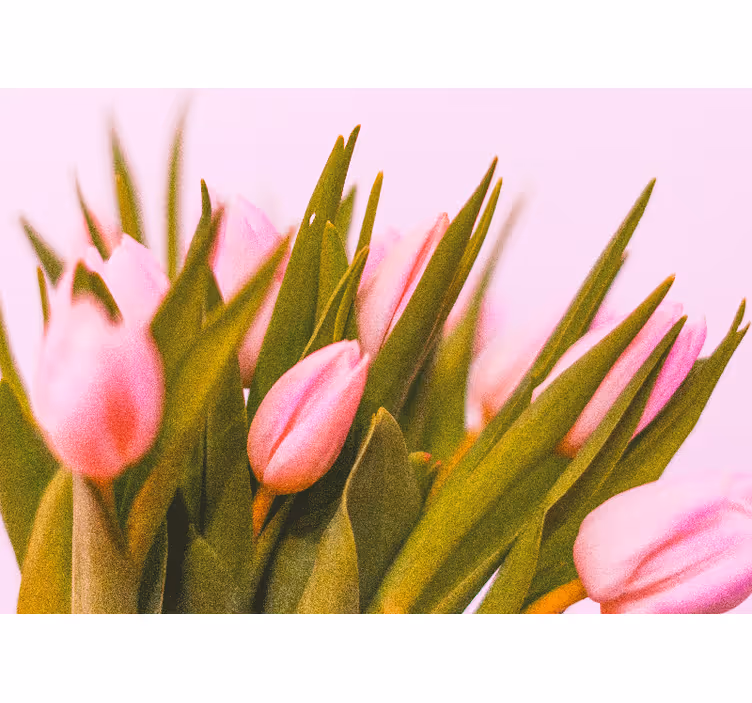 Tapisserie coquelicots fleurs de tulipes roses - TenStickers