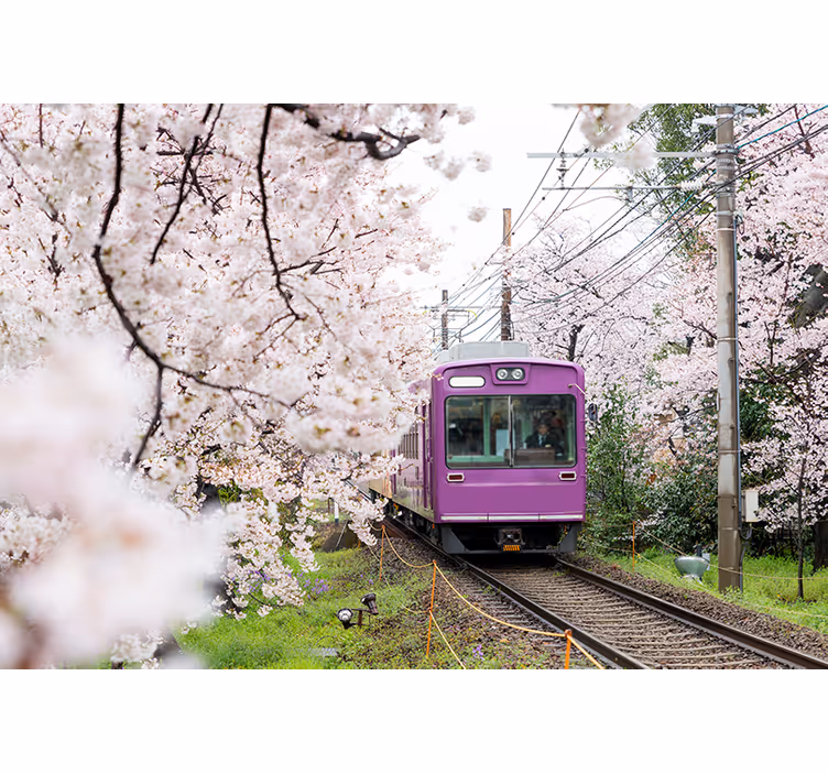 Tapisserie villes et pays train des cerisiers - TenStickers