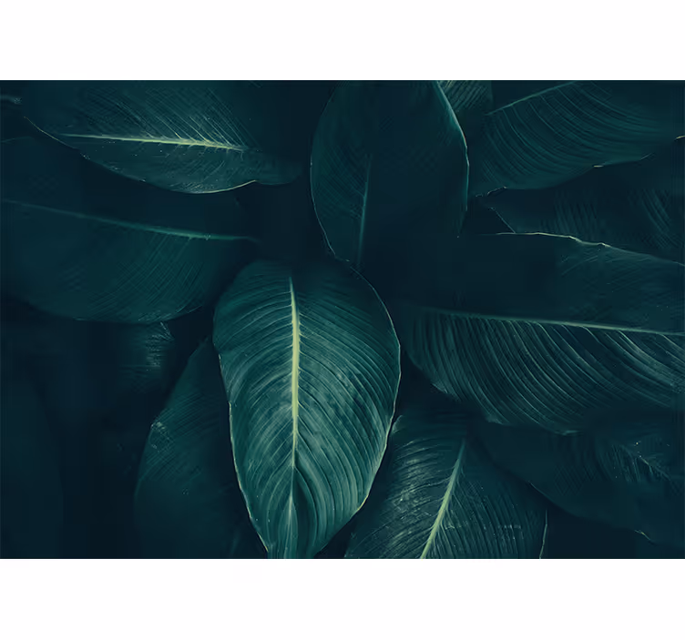 Tapisserie nature texture feuillue luxuriante - TenStickers