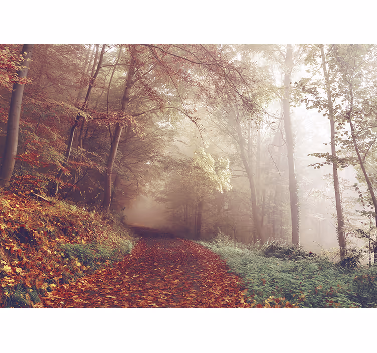 Tapisserie forêt paysage de sentier automnal - TenStickers
