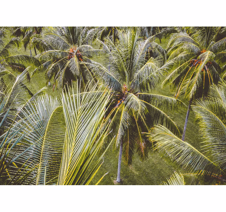 Tapisserie nature feuilles de palmier luxuriantes - TenStickers