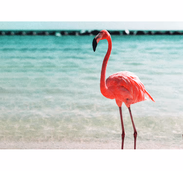 Tapisserie animaux pose de flamant gracieux - TenStickers