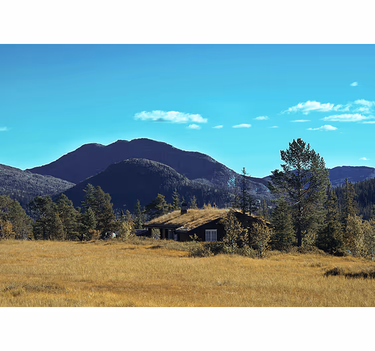 Tapisserie paysage retraite en cabane de montagne - TenStickers
