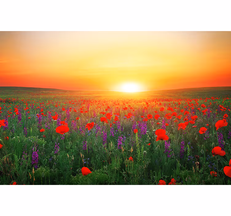 Tapisserie coquelicots coucher de soleil doré - TenStickers