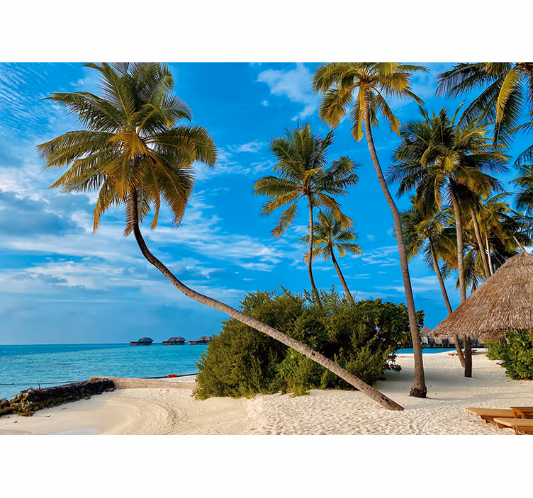 Papier peint salon Cocotier sur la plage - TenStickers