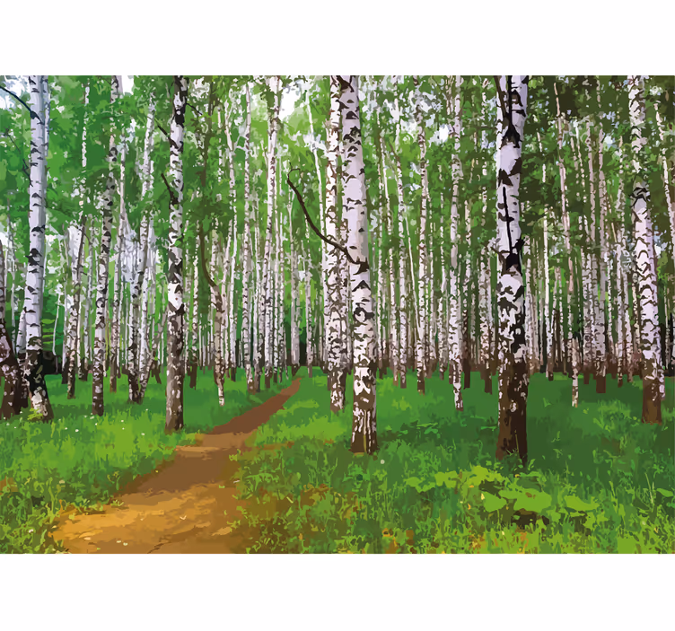 Papier peint nature Forêt de bouleaux avec la lumière du soleil - TenStickers