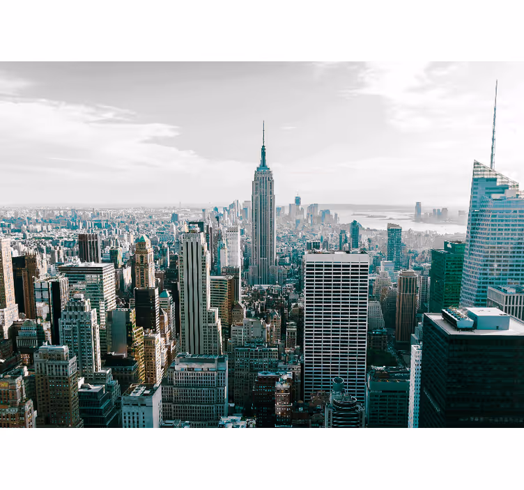 Tapisserie new york skyline emblématique de la ville - TenStickers