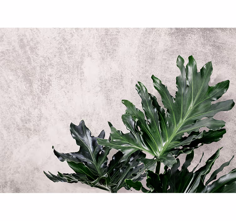 Tapisserie nature feuillages luxuriants - TenStickers
