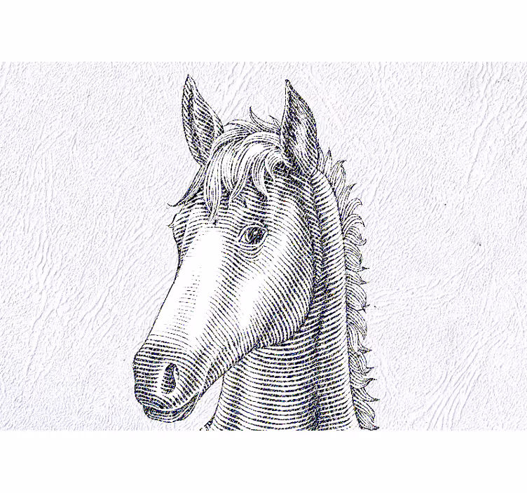 Tapisserie animaux portrait de cheval élégant - TenStickers