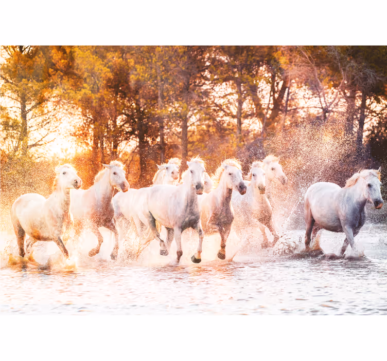 Tapisserie animaux chevaux majestueux en course - TenStickers
