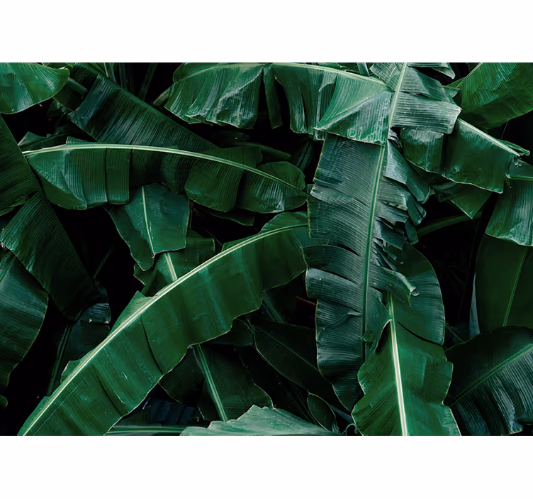 Tapisserie nature feuillage vert éclatant - TenStickers