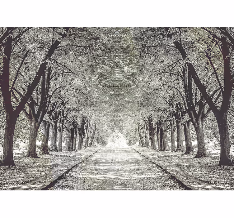 Papier peint mural forets Chemin avec des arbres - TenStickers
